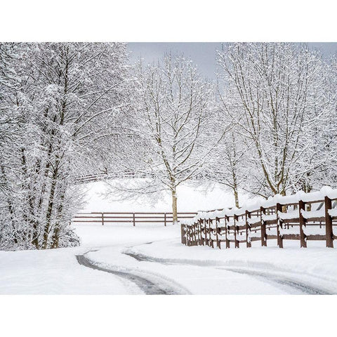 Washington State-Fall City-fresh snow on trees and fence and snow covered road Black Modern Wood Framed Art Print by Gulin, Sylvia