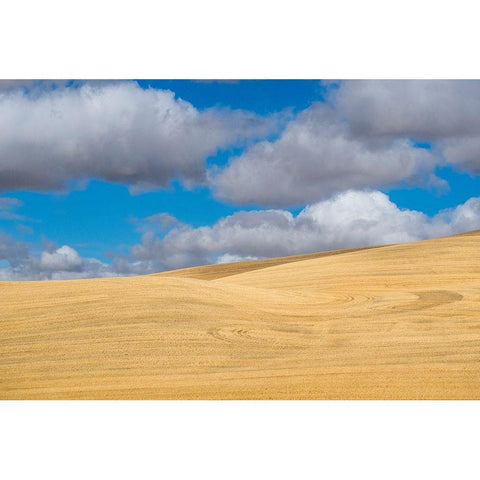 Washington State-Eastern Washington-Palouse Black Modern Wood Framed Art Print by Gulin, Sylvia