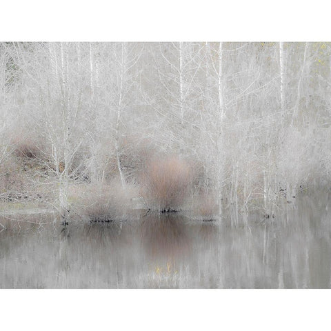 USA-Washington State-Sammamish springtime and alder trees and their reflections in small pond Black Modern Wood Framed Art Print by Gulin, Sylvia