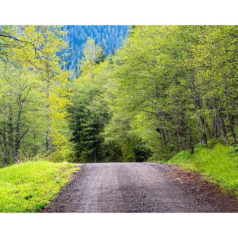 USA-Washington State-Old Cascade Highway off of Highway 2 Black Modern Wood Framed Art Print by Gulin, Sylvia