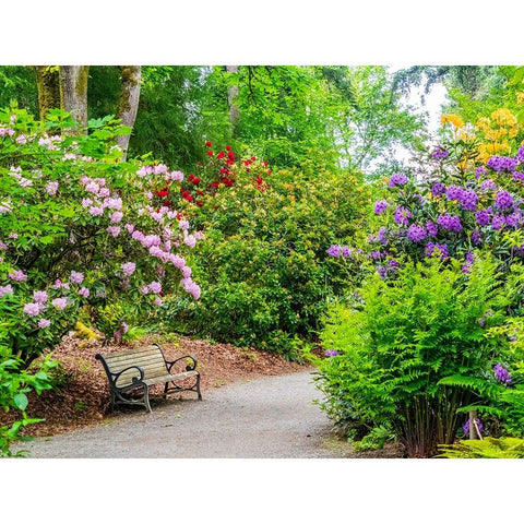 USA-Washington State-Pacific Northwest-Bellevue and the Bellevue Botanical Gardens Black Modern Wood Framed Art Print by Gulin, Sylvia