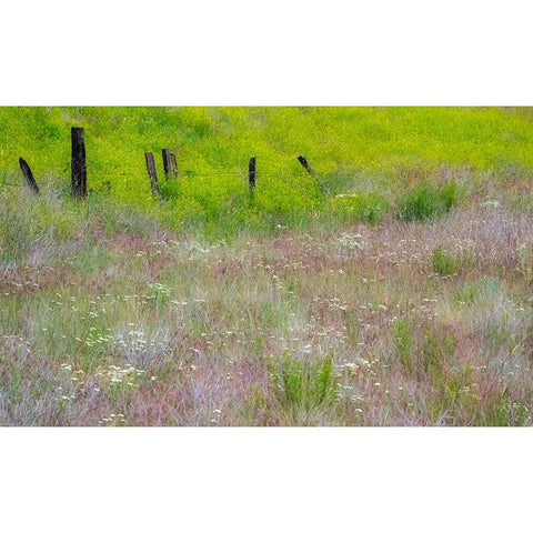 USA-Washington State-Benge Wooden post fence and grasses on rolling hills Gold Ornate Wood Framed Art Print with Double Matting by Gulin, Sylvia
