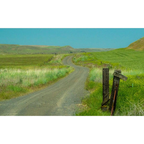 USA-Washington State-Eastern Washington near Benge and curved gravel road Black Modern Wood Framed Art Print with Double Matting by Gulin, Sylvia