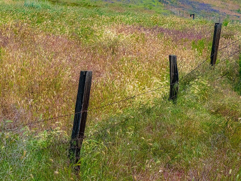 USA-Washington State-Palouse with wooden fence posts in grass field Black Ornate Wood Framed Art Print with Double Matting by Gulin, Sylvia