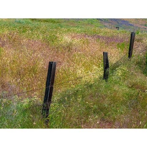 USA-Washington State-Palouse with wooden fence posts in grass field Gold Ornate Wood Framed Art Print with Double Matting by Gulin, Sylvia