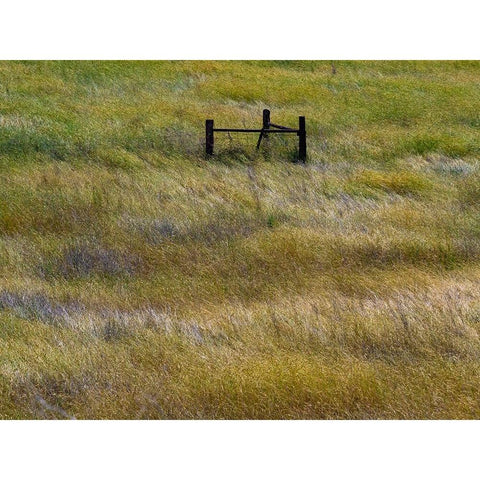 USA-Washington State-Palouse with wooden fence posts in grass field White Modern Wood Framed Art Print by Gulin, Sylvia