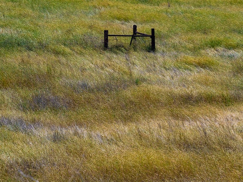 USA-Washington State-Palouse with wooden fence posts in grass field Black Ornate Wood Framed Art Print with Double Matting by Gulin, Sylvia