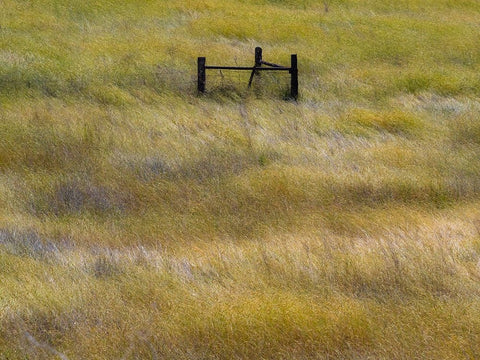 USA-Washington State-Palouse with wooden fence posts in grass field White Modern Wood Framed Art Print with Double Matting by Gulin, Sylvia