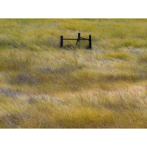 USA-Washington State-Palouse with wooden fence posts in grass field Black Modern Wood Framed Art Print with Double Matting by Gulin, Sylvia