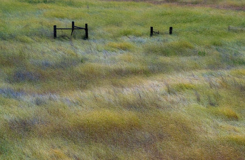 USA-Washington State-Palouse with wooden fence posts in grass field White Modern Wood Framed Art Print with Double Matting by Gulin, Sylvia