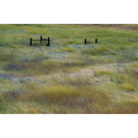 USA-Washington State-Palouse with wooden fence posts in grass field Black Modern Wood Framed Art Print with Double Matting by Gulin, Sylvia