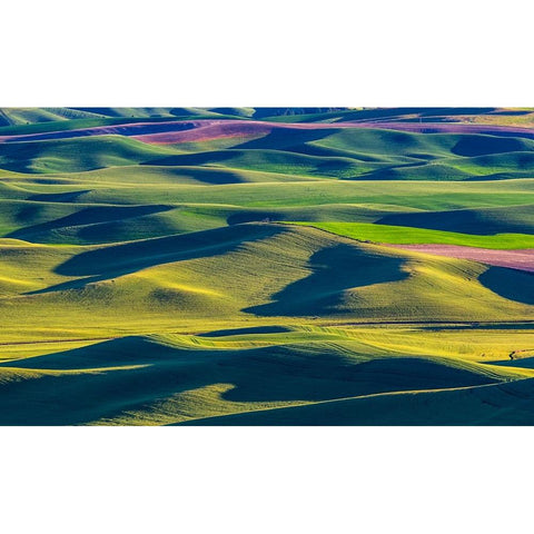 USA-Washington State-Palouse and Steptoe Butte State Park view of Wheat and Canola Black Modern Wood Framed Art Print with Double Matting by Gulin, Sylvia