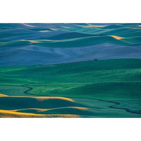 USA-Washington State-Palouse and Steptoe Butte State Park view of Wheat fields last light Black Modern Wood Framed Art Print with Double Matting by Gulin, Sylvia