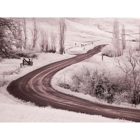 Backroad leading through Spring wildflowers Black Modern Wood Framed Art Print by Eggers, Terry