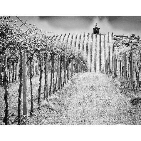 Spring vineyard and chapel on top of hill (PR) Black Modern Wood Framed Art Print by Eggers, Terry