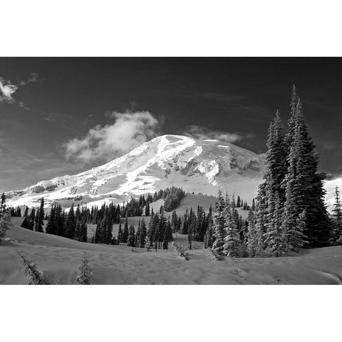 USA-Washington State-Mt-Rainier National Park-Winter on Mount Rainier Black Modern Wood Framed Art Print by Eggers, Terry
