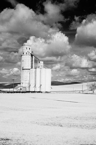 USA-Washington State-Silo with large clouds Black Ornate Wood Framed Art Print with Double Matting by Eggers, Terry