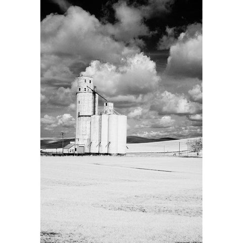 USA-Washington State-Silo with large clouds Black Modern Wood Framed Art Print by Eggers, Terry