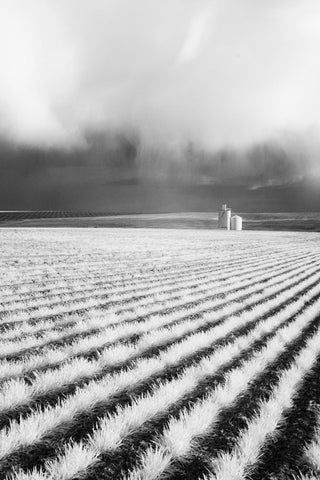 USA-Washington State-Silo with Storm front coming Black Ornate Wood Framed Art Print with Double Matting by Eggers, Terry