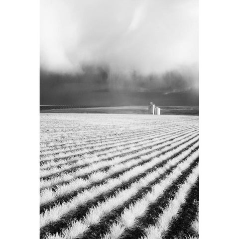 USA-Washington State-Silo with Storm front coming Black Modern Wood Framed Art Print by Eggers, Terry