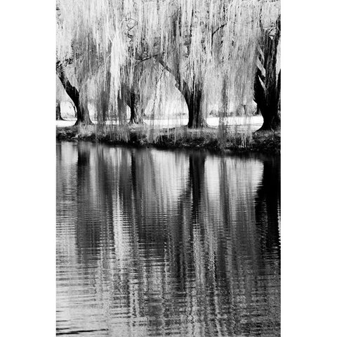 USA-Washington State-Eastern Washington-Weeping willow tree reflecting in pond Black Modern Wood Framed Art Print by Eggers, Terry