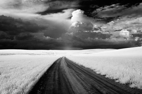 USA-Washington State-Country backroad Black Ornate Wood Framed Art Print with Double Matting by Eggers, Terry