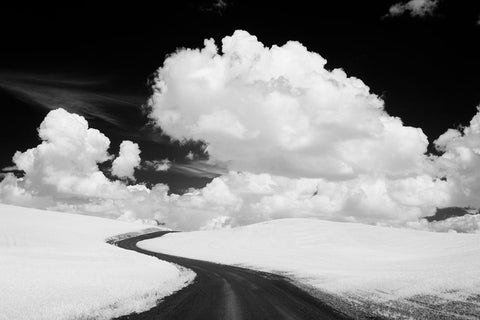 USA-Washington State-Country backroad Black Ornate Wood Framed Art Print with Double Matting by Eggers, Terry