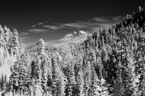 USA-Washington State-Mt-Rainier viewed from the South Black Ornate Wood Framed Art Print with Double Matting by Eggers, Terry