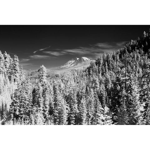 USA-Washington State-Mt-Rainier viewed from the South Black Modern Wood Framed Art Print by Eggers, Terry