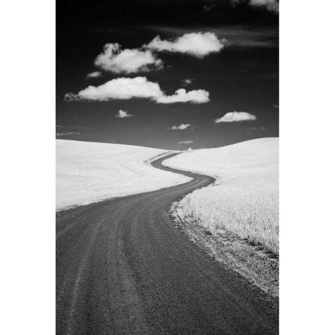 USA-Palouse Country-Washington State-Infrared Palouse fields and backroad Black Modern Wood Framed Art Print by Eggers, Terry