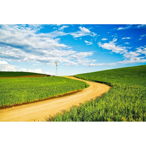 Winding backroad through Spring wheat fields-USA-Washington State-Palouse Region Black Modern Wood Framed Art Print by Eggers, Terry