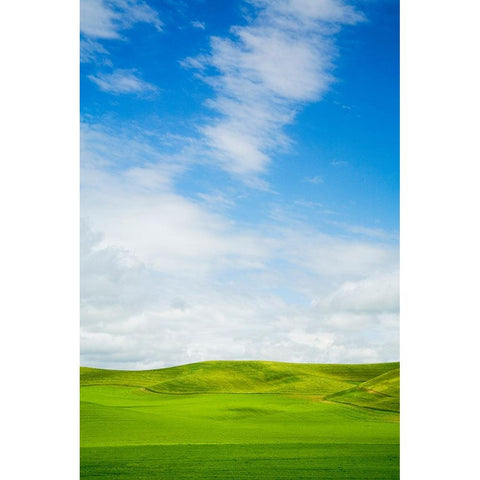 USA-Washington State-Palouse Region-Patterns in the fields of fresh green Spring wheat Black Modern Wood Framed Art Print by Eggers, Terry
