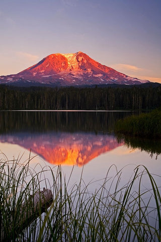 USA-Washington State-Sunset on Mt-Adams reflecting in Lake Takhlakh Black Ornate Wood Framed Art Print with Double Matting by Eggers, Terry