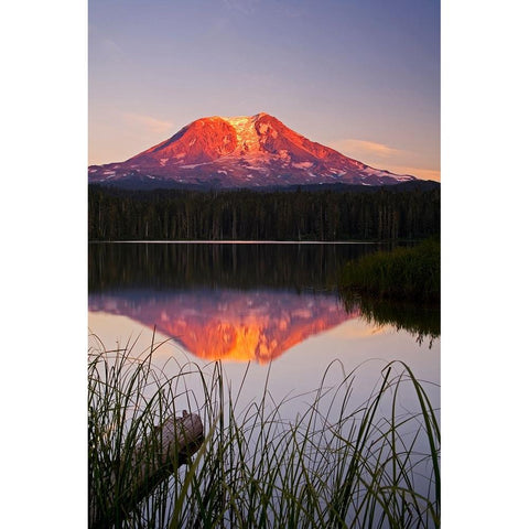 USA-Washington State-Sunset on Mt-Adams reflecting in Lake Takhlakh Black Modern Wood Framed Art Print by Eggers, Terry
