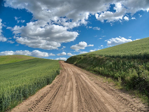 USA-Washington State-Palouse-Country Backroad through Spring wheat fields White Modern Wood Framed Art Print with Double Matting by Eggers, Terry
