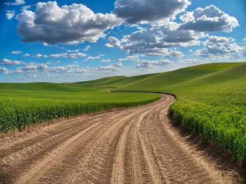 USA-Washington State-Palouse-Country Backroad through Spring wheat fields White Modern Wood Framed Art Print with Double Matting by Eggers, Terry