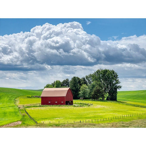 USA-Washington State-Palouse-Old Red barn with fresh green fields White Modern Wood Framed Art Print by Eggers, Terry
