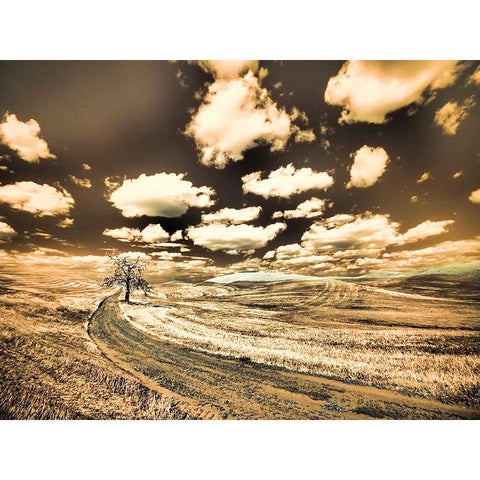 USA-Washington State-Palouse-Country backroad with lone tree Gold Ornate Wood Framed Art Print with Double Matting by Eggers, Terry