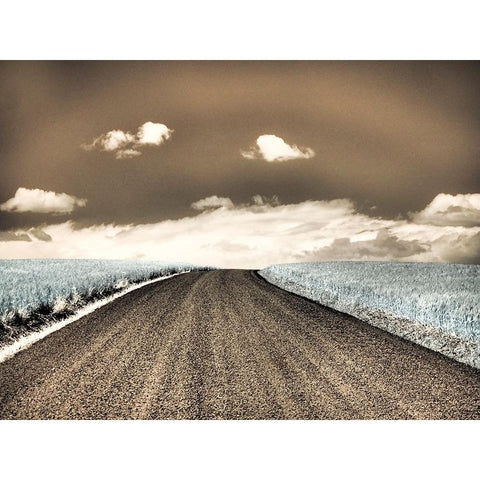 USA-Washington State-Palouse-Country backroad through spring crops Black Modern Wood Framed Art Print by Eggers, Terry