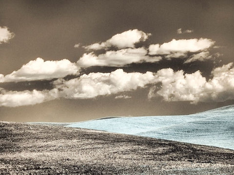 USA-Washington State-Palouse-Crops growing on the rolling hills of the Palouse Black Ornate Wood Framed Art Print with Double Matting by Eggers, Terry