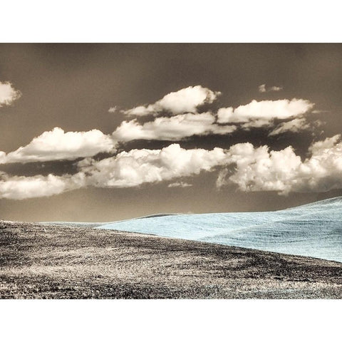 USA-Washington State-Palouse-Crops growing on the rolling hills of the Palouse Gold Ornate Wood Framed Art Print with Double Matting by Eggers, Terry