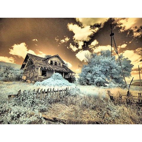 USA-Washington State-Palouse-Abandoned old homestead White Modern Wood Framed Art Print by Eggers, Terry