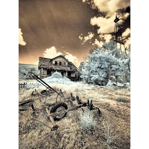 USA-Washington State-Palouse-Abandoned old homestead Black Modern Wood Framed Art Print by Eggers, Terry