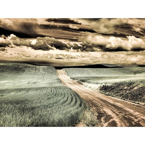 USA-Washington State-Palouse-Country backroad through spring crops Black Modern Wood Framed Art Print by Eggers, Terry