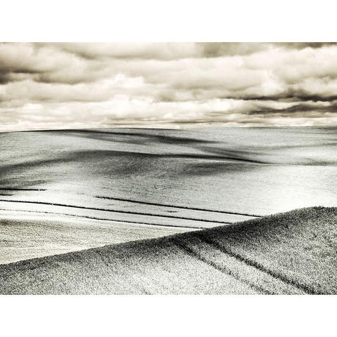 USA-Washington State-Palouse-Crops growing on the rolling hills of the Palouse Black Modern Wood Framed Art Print by Eggers, Terry