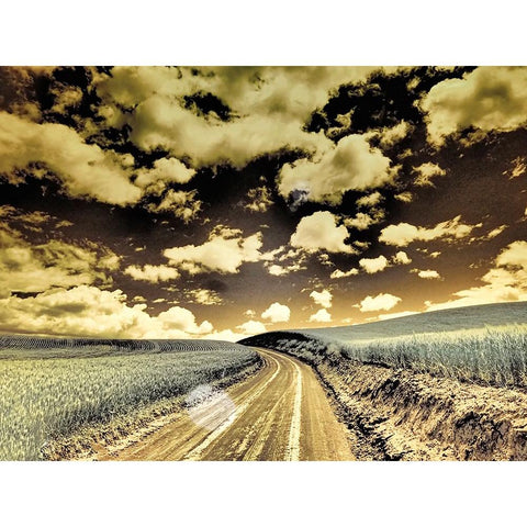 USA-Washington State-Palouse-Country backroad through spring crops Gold Ornate Wood Framed Art Print with Double Matting by Eggers, Terry