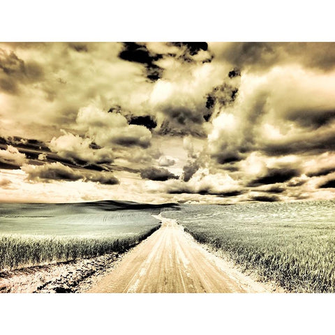 USA-Washington State-Palouse-Country backroad through spring crops Gold Ornate Wood Framed Art Print with Double Matting by Eggers, Terry