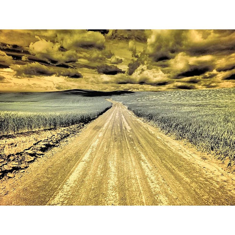 USA-Washington State-Palouse-Country backroad through spring crops Gold Ornate Wood Framed Art Print with Double Matting by Eggers, Terry