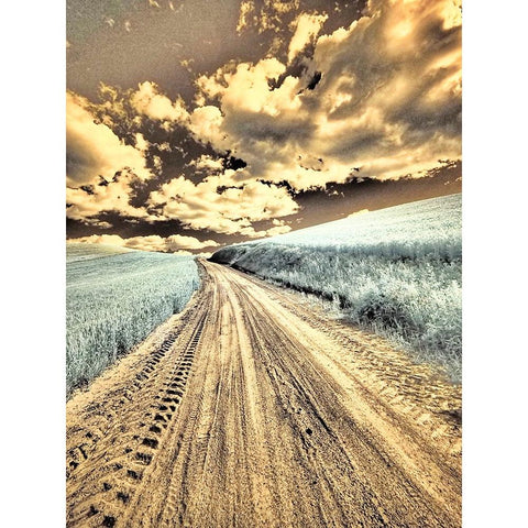 USA-Washington State-Palouse-Country backroad through spring crops Black Modern Wood Framed Art Print by Eggers, Terry