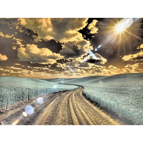 USA-Washington State-Palouse-Country backroad through spring crops Gold Ornate Wood Framed Art Print with Double Matting by Eggers, Terry